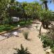 Le jardin du port, Nice - Photo 9