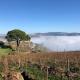 Quinta dos Espinheiros, Provesende (zdjęcie 7)