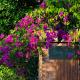 Spring Garden Homestay, Phu Quoc