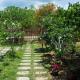 Spring Garden Homestay, Phu Quoc (fotografie 2)