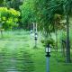 Spring Garden Homestay, Phu Quoc (fotografie 9)