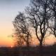 B&B De Herenboer, Opeinde (foto 6)