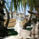 Beach Garden Hotel, St Julian's (Foto 5)
