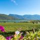 Weinhof am See, Caldaro (fotografie 5)