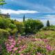Borgo Fastelli - House in historical Borgo in Tuscany - Quercia, Spineta (foto 8)