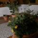 Dolce far niente Noto - Photo 10