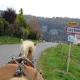 La Bergerie Crenantine, Crenans (foto 8)