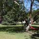 Hostería La Eterna Primavera, Huigra (foto 3)