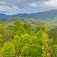 Amazing Views, Gatlinburg - Foto 1