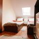 Pension Rose-Trandafirul, Borsec - Foto 8