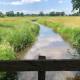 Cottage Hazenhorst - paradijs aan het bos, IJhorst (zdjęcie 9)