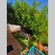 Cosy guest house with private yard, Saronida - Fotografie 7