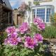 Bowden House B&B, Melrose (foto 5)