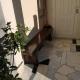 Meje Apartments, Spalato (Split) - Foto 8
