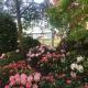 NordWest-Hotel Amsterdam, Bad Zwischenahn - Photo 4