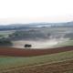Schinderhanneshof, Weitersborn - 写真 10