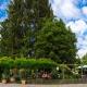 Hotel zur Post, Mülheim an der Mosel - Fotografie 8