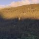 Sägehof, Neustift im Stubaital (foto 2)