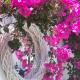 Doron Hotel Delfini, Naxos Chora (foto 4)