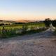 Agriturismo Barbicate, Сатурния (фото 2)