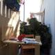 Ariston Petit Hotel, Palerme - Photo 5