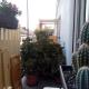 Ariston Petit Hotel, Palerme - Photo 7