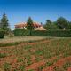 Villa Vranići, Vranići (fotografie 5)