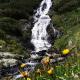 Pension Bergwelt, Neustift im Stubaital (photo 4)