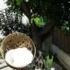 Le jardin du port, Nice - Photo 3