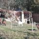 Haus Alpin Lofer, Lofer (fotografie 10)