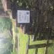 Tholt-y-Will B&B, Sulby (fotografie 7)
