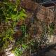 The Sun Homestay, Hội An - Photo 5