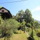 Casa Ilvea, Cavigliano (foto 4)