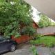 Gold Fayen House Cheile Turului, Tureni - 写真 4