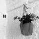 Trulli e Dimore Mamma Maj, Alberobello (fotografie 7)