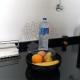 Oliveira's Dream - Stay Good, Feel Good, Maia (fotografie 10)