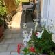 Ferienwohnung Goldener Drache, Hohekreuz - Foto 10