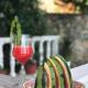 Guest House Himaj, Berat (fotografie 10)