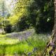 Hillside Log cabin, Ardoch Lodge, Strathyre, Strathyre (fotografie 10)