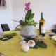 MARISOL SEAVIEW & BEACH - apartment, El Masnou (foto 9)