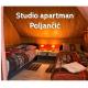 Apartmani Poljančić, Ravna Gora (photo 7)