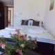 Guesthouse Vila DND, Niška Banja (photo 3)