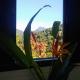 Flats Refugio da Mata, Parati (photo 4)