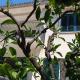 House Romana, Medulin (foto 2)