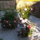 Maison Belvoir, Le Fraysse (foto 3)