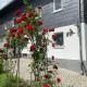 Ferienwohnung Eulennest, Dippoldiswalde - Photo 4
