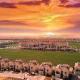 Al Habtoor Polo Resort, Dubaï - Photo 3