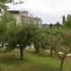 Apartmani Ana, Vrdnik (fotografie 5)