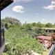 South River Condo, Austin (fotografie 3)
