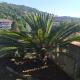 Bed & Breakfast Lujocanda Casarza Ligure - Foto 10